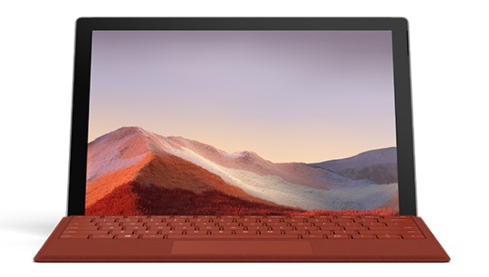 巴里坤清洁和维护 Surface